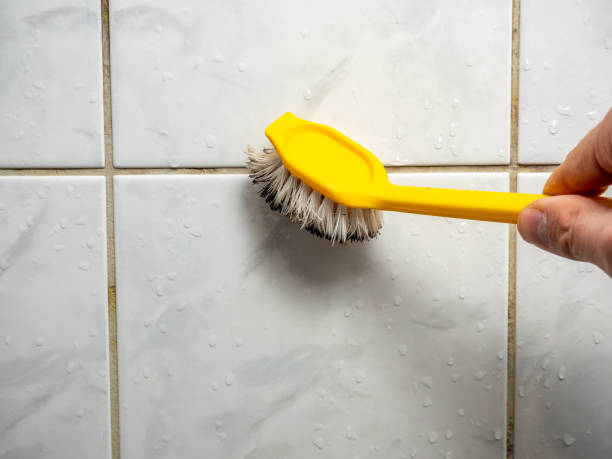 Best Post-Remediation Services in Eureka, IL