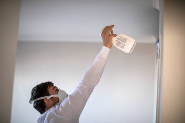Best Bathroom Mold Remediation in Eureka, IL