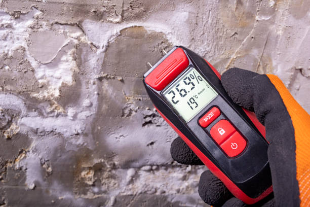 Best Industrial Mold Remediation in Eureka, IL