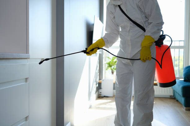 Best Mold Remediation for Specific Building Types in Eureka, IL